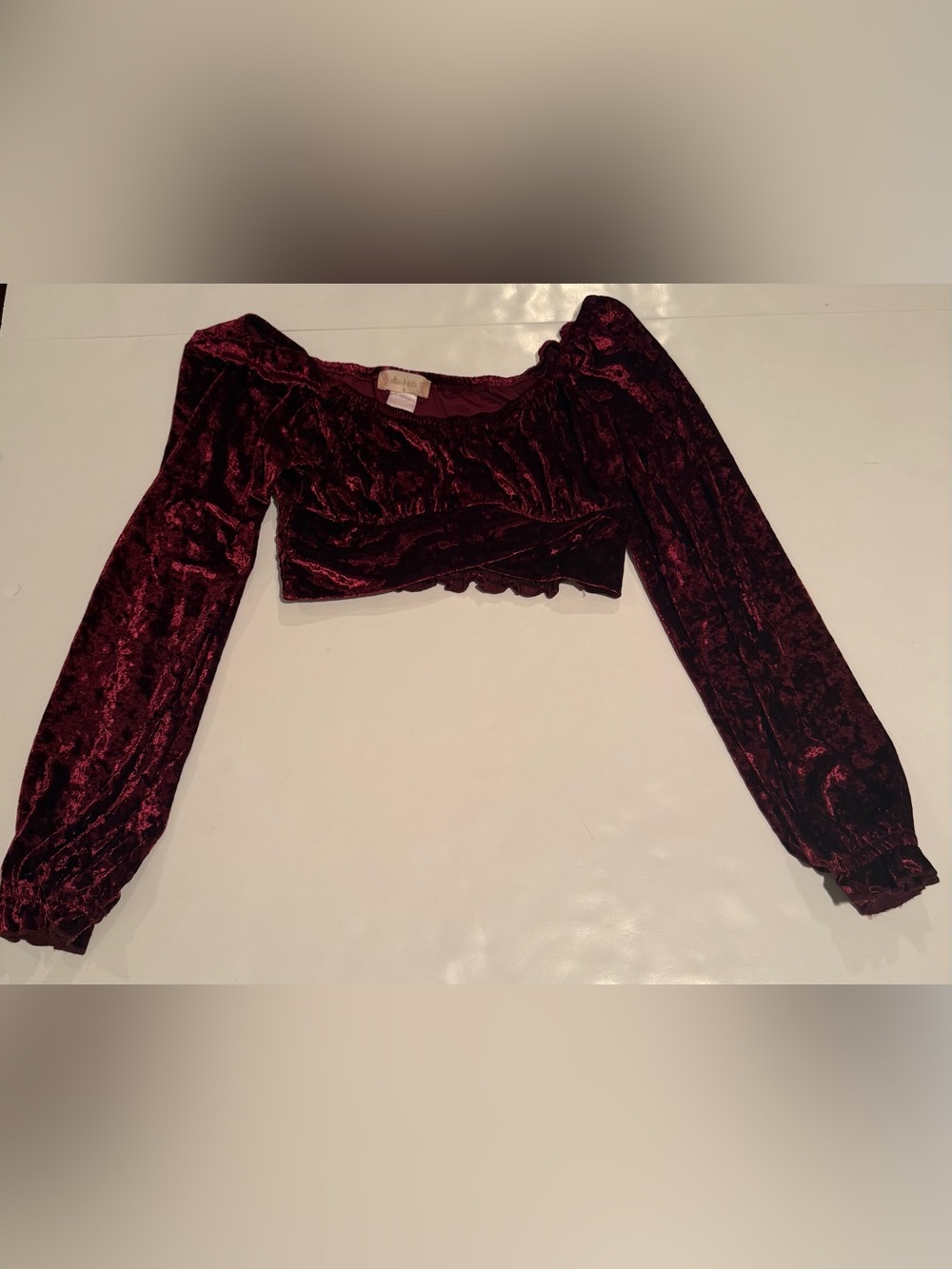 Altar'd State Burgundy Velvet Off-Shoulder Crop Top